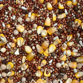 Rudy’s OLR Pigeon Mix (LO PRO 11%) - 1 TON SPECIAL ORDER